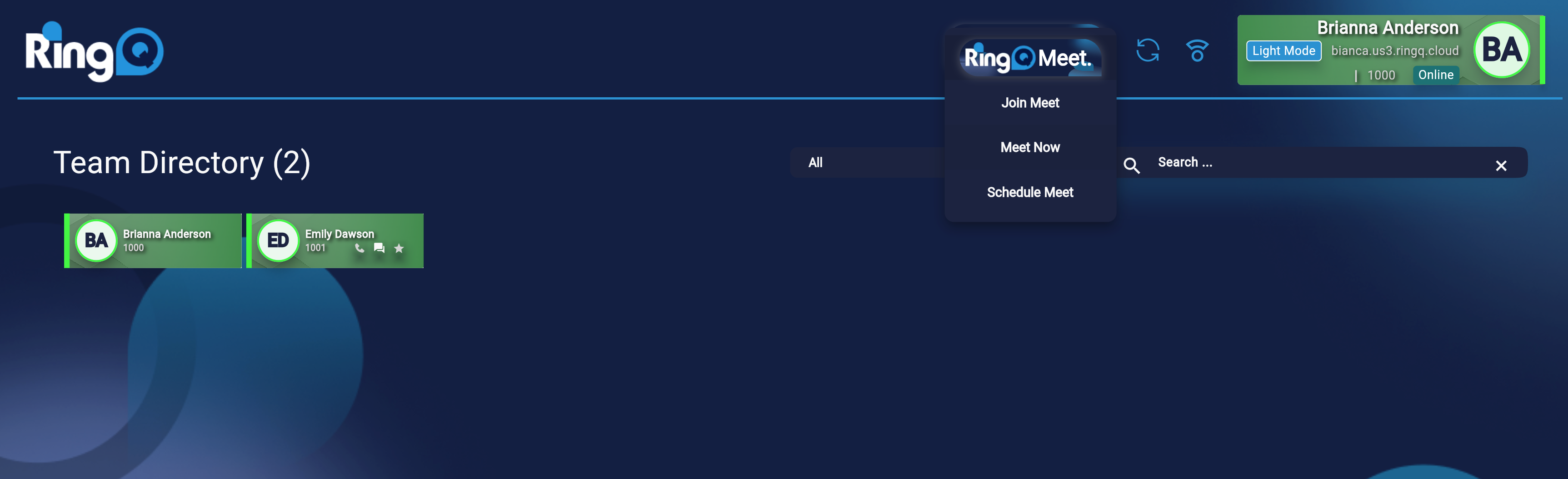 Using the Test Drive feature in RingQ Meet